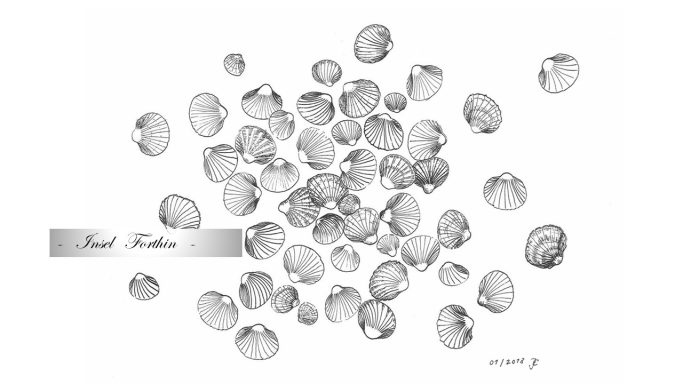 39 - "Muschelfund"