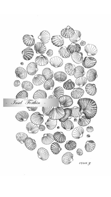 40 - "Muschelmeer"