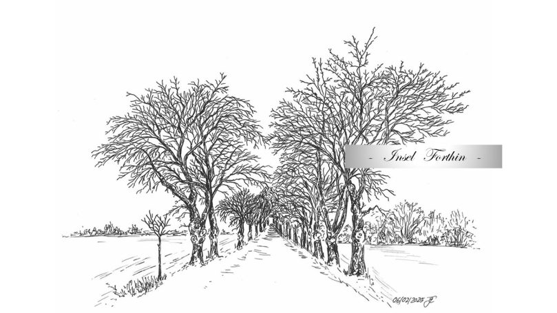 63 Allee zwischen Böhlitz und Thallwitz