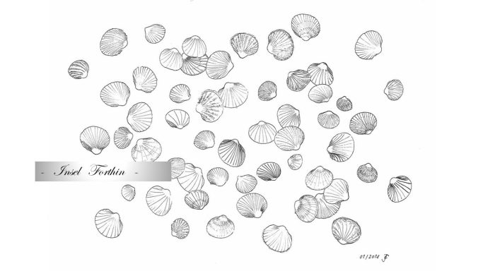 38 - "Muschelsuche"
