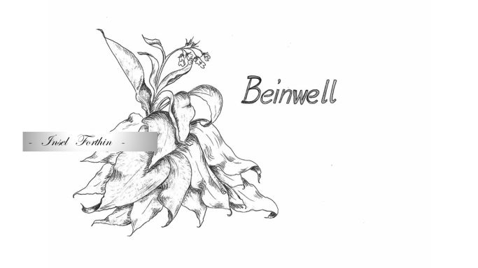 14 - Beinwell
