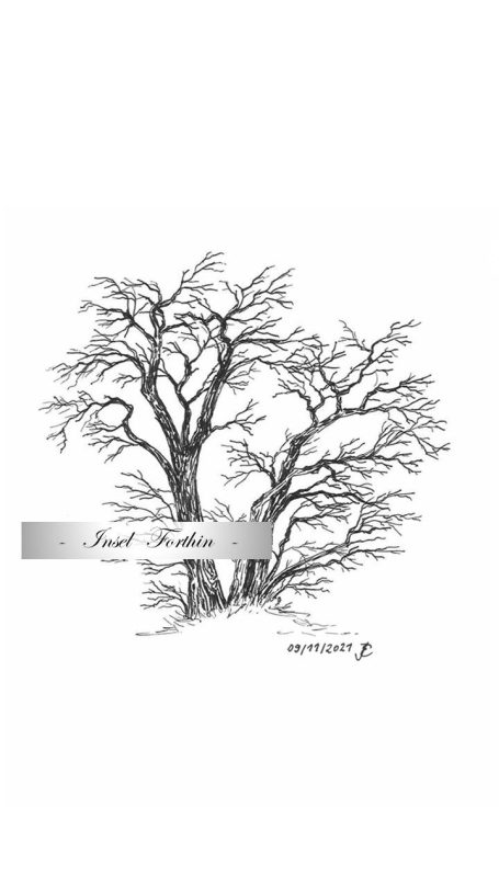 15 - Robinien Kiesgrube Rote Jahne
