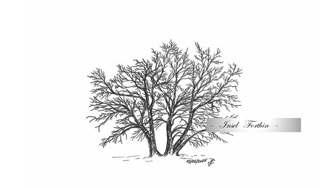 82 - "langlebige Lebendigkeit"